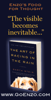 racing in the rain